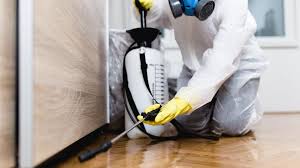 Professional Pest Control in Temescal Valley, CA